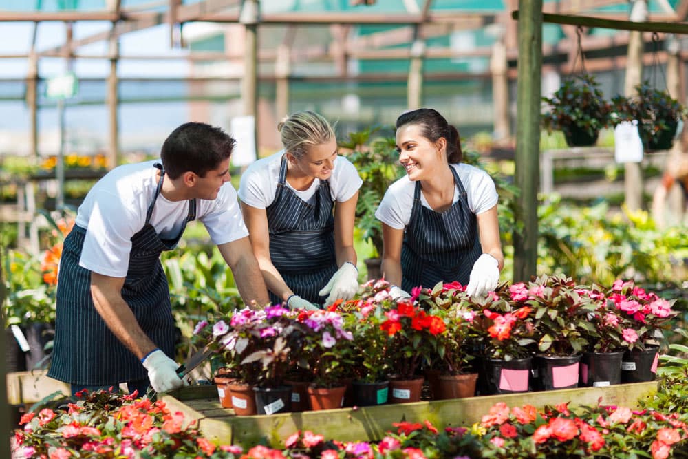 Pracownicy sezonowi w 2020r. – outsourcing w rolnictwie i nie tylko